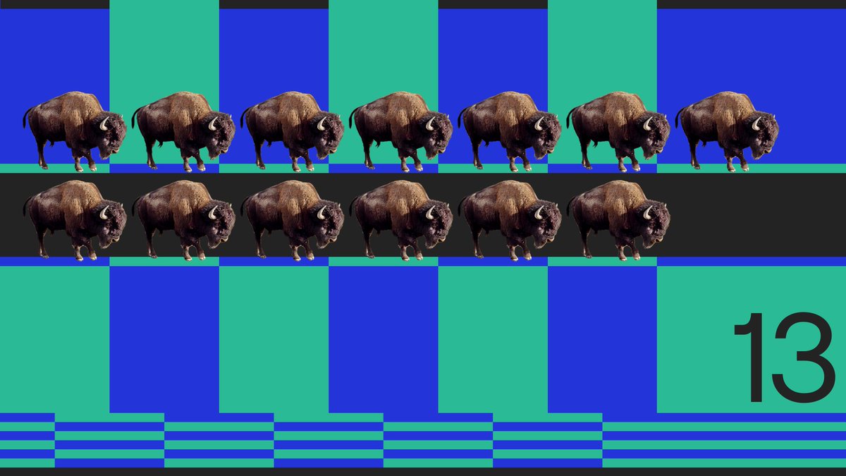 Under After • A big update from me and the Bison Trails herd! It's wild to see how much we ship in a month, and this update is no exception.