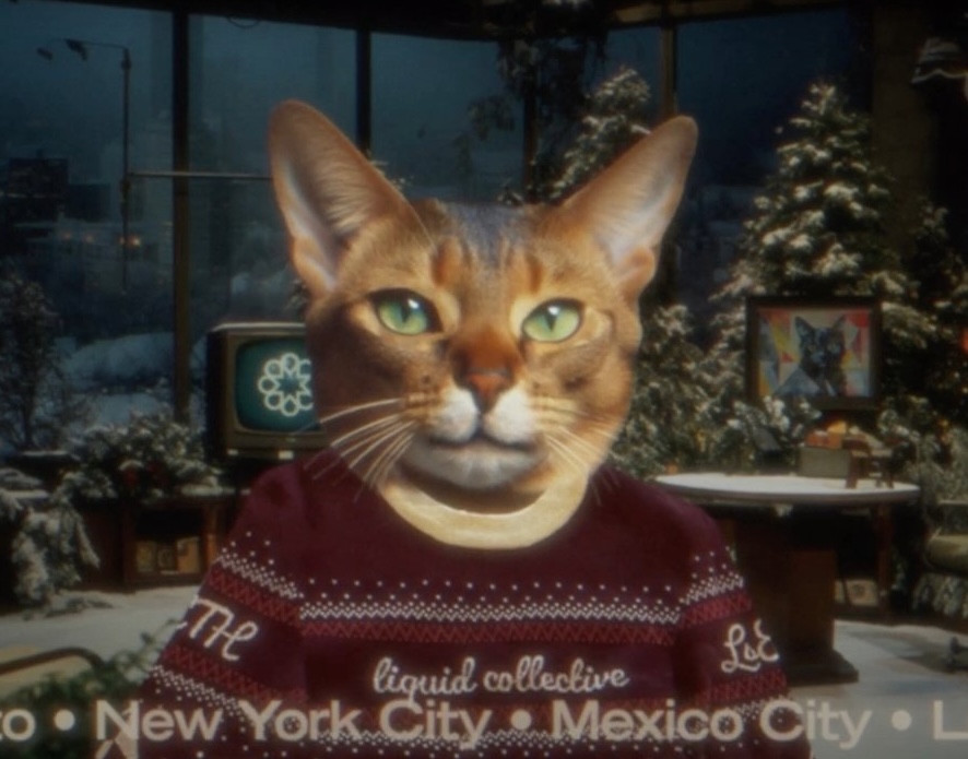 Under After • Made another Mr. X video for Liquid Collective update