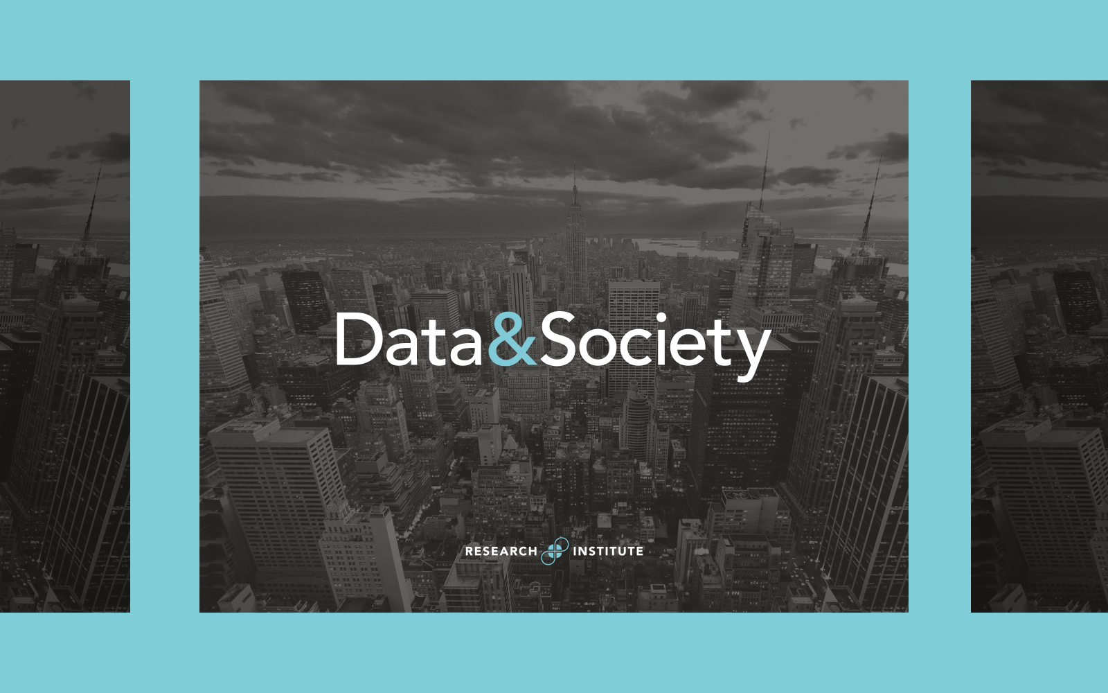 Data Society research organization brand color palette and typography