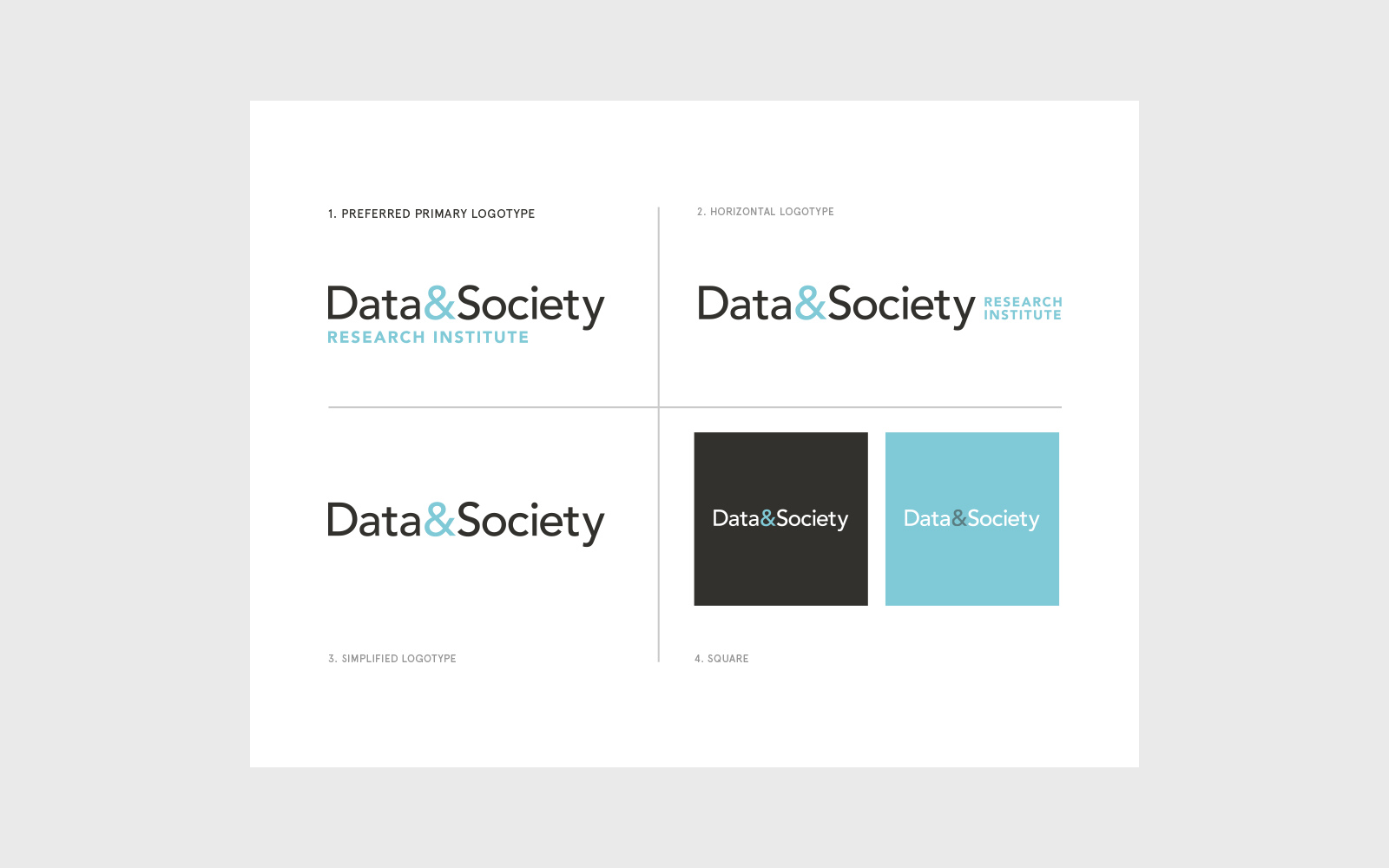 Data Society research organization complete brand identity system