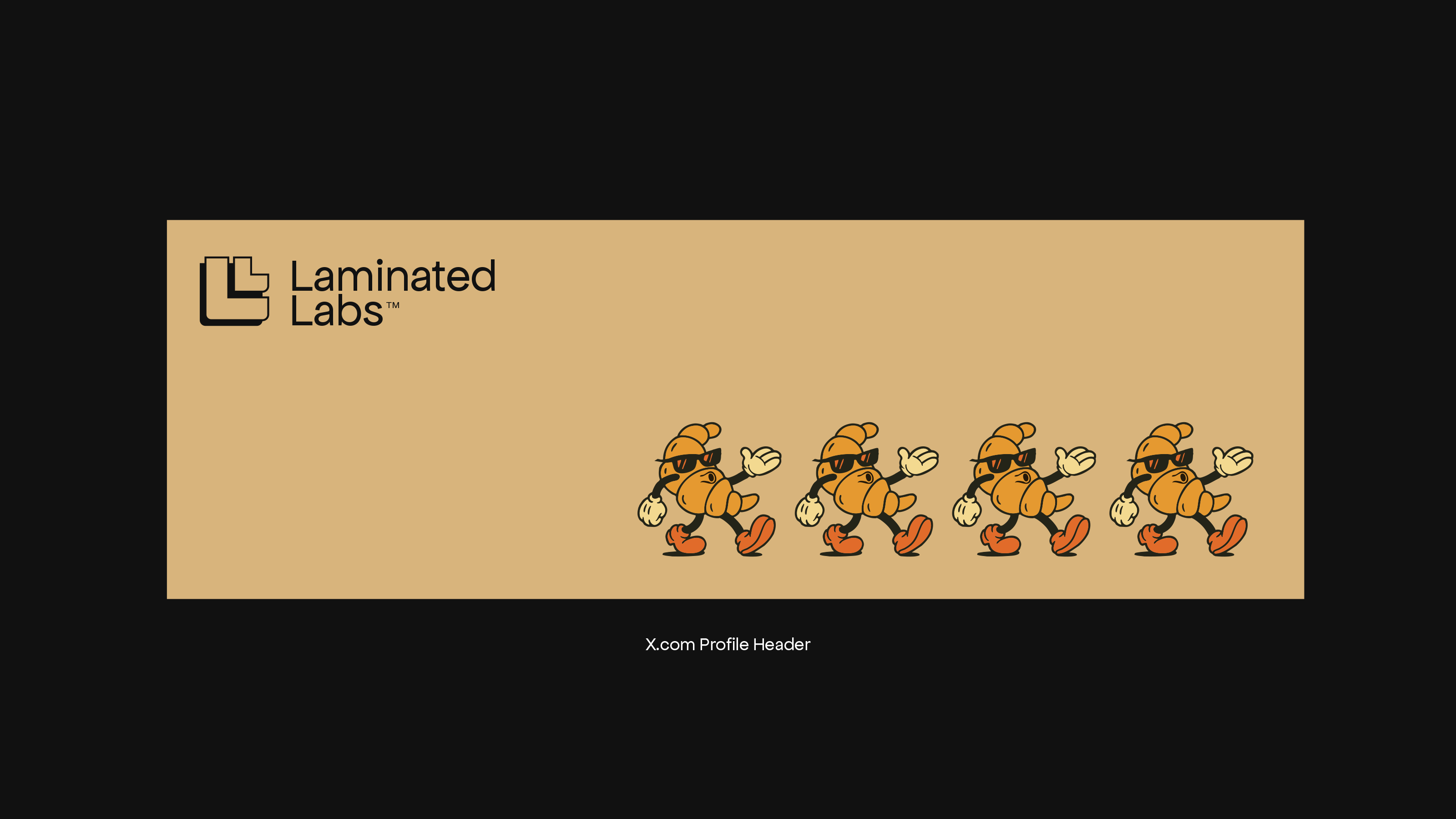 Laminated Labs X profile header