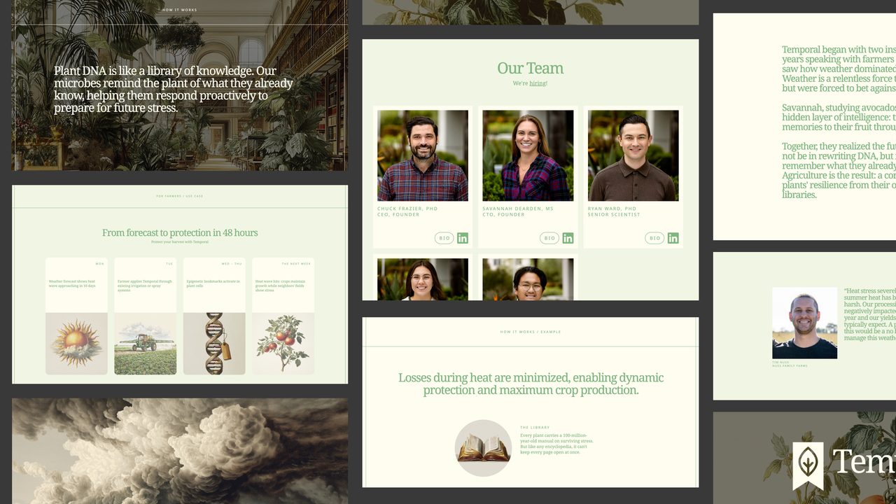 Temporal website homepage design