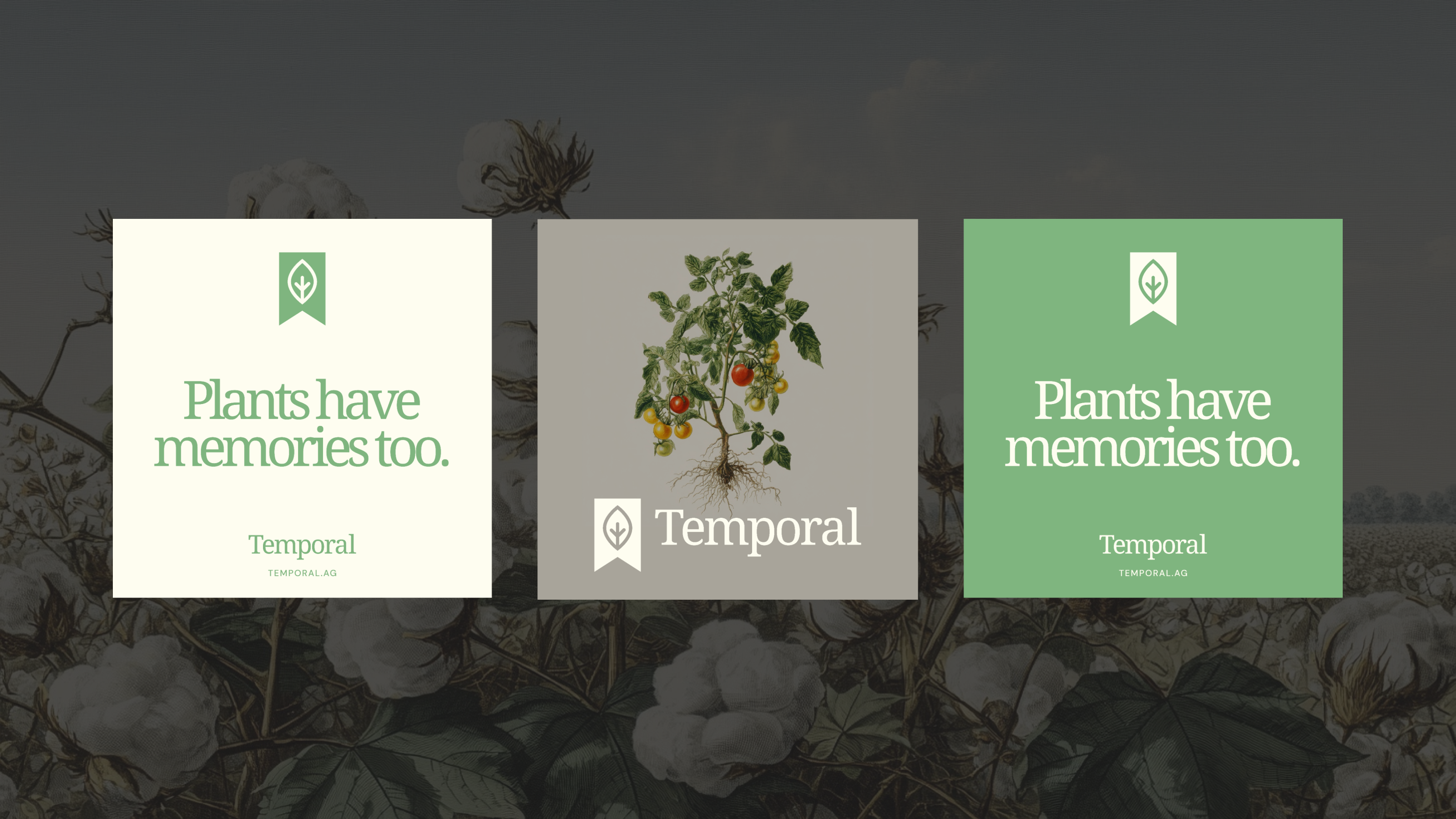 Temporal brand applications showing Plants have memories too messaging