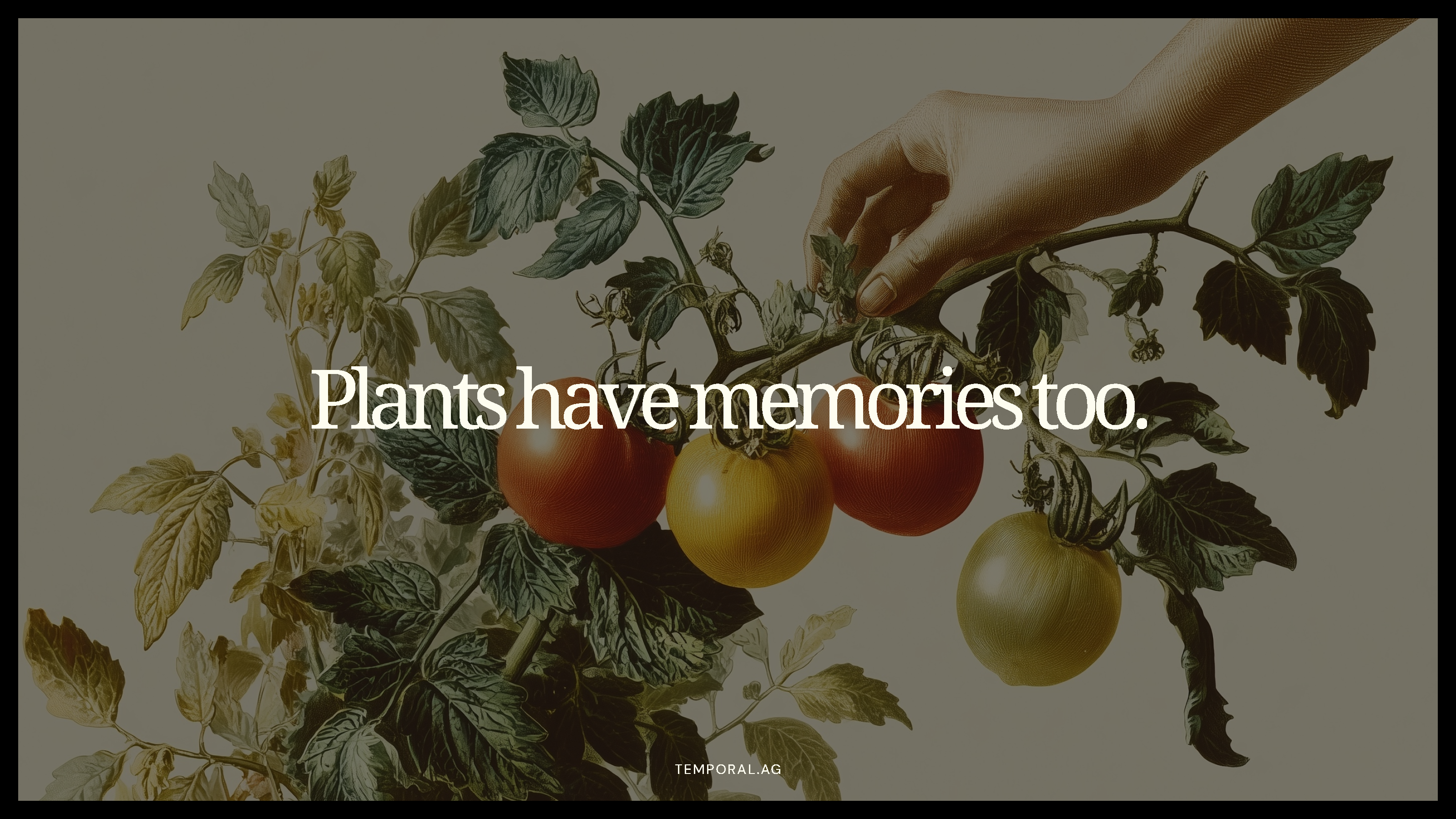 Temporal brand messaging: Plants have memories too