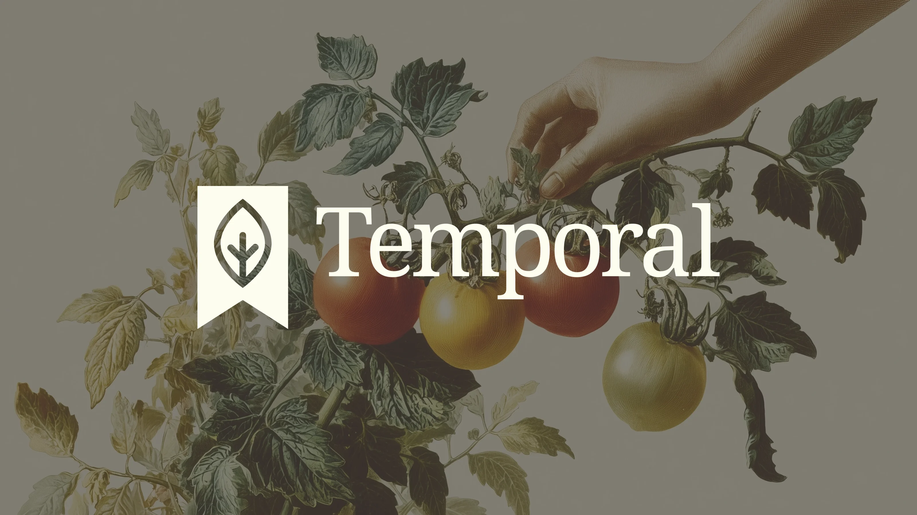 Temporal brand wordmark - agriculture & climate resilience startup