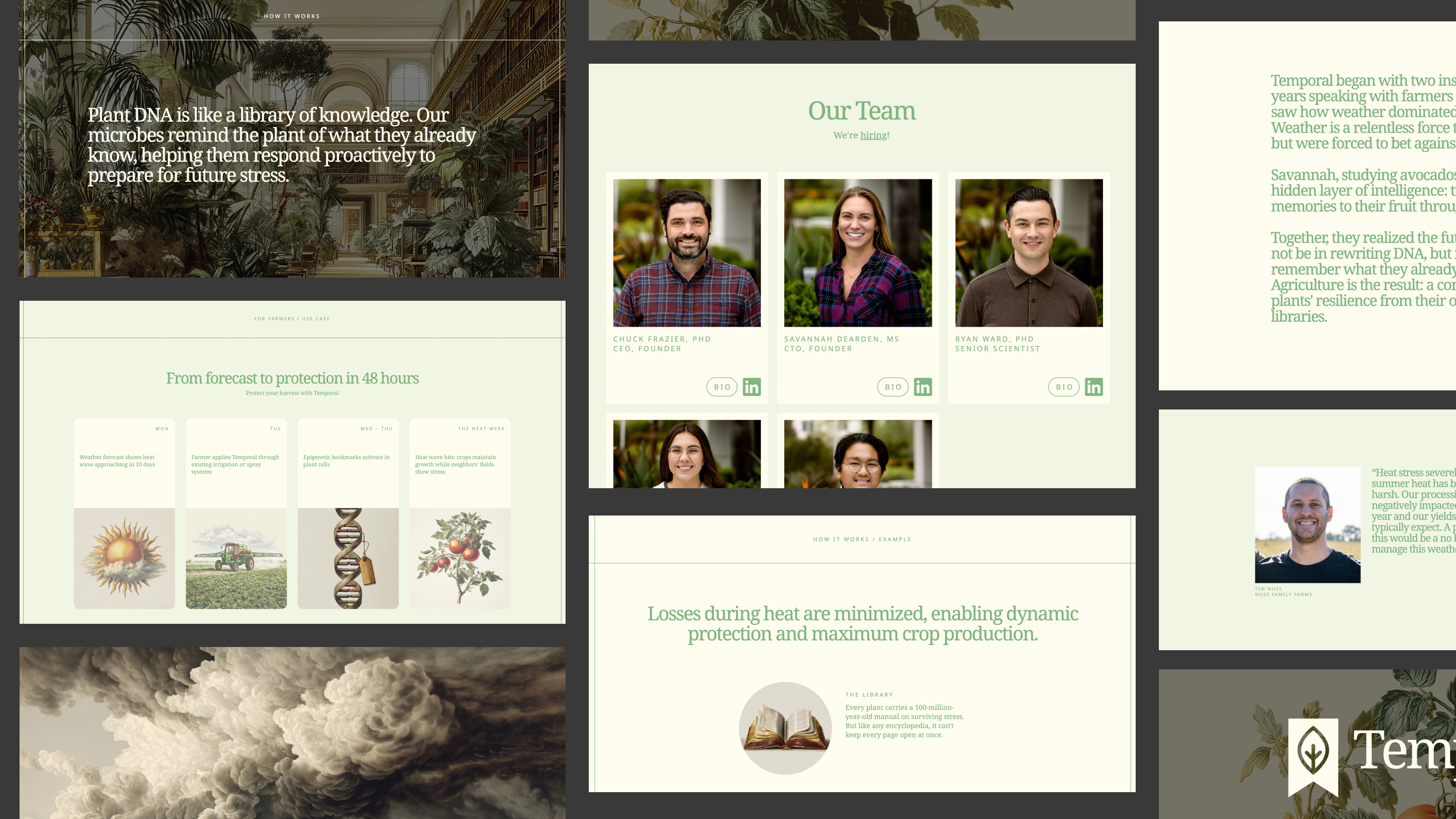 Temporal website homepage design