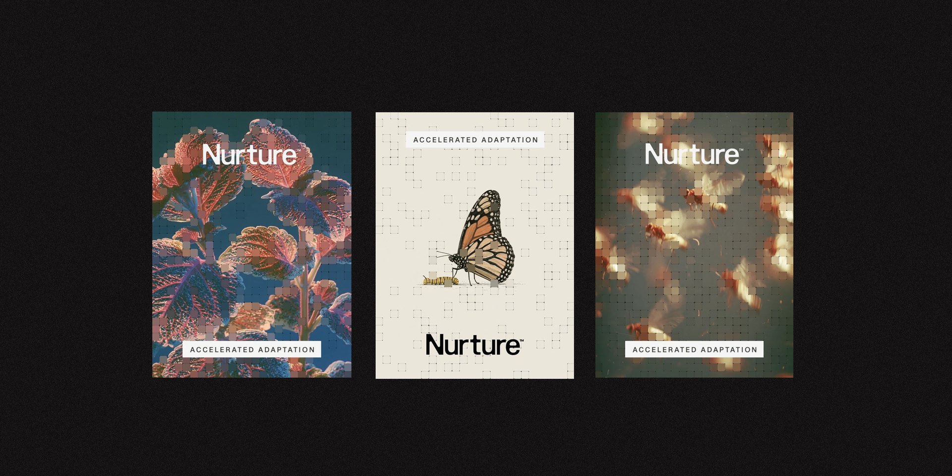 Three Accelerated Adaptation posters showing coleus foliage, a monarch butterfly beside its caterpillar, and blossoms, each under the grid treatment
