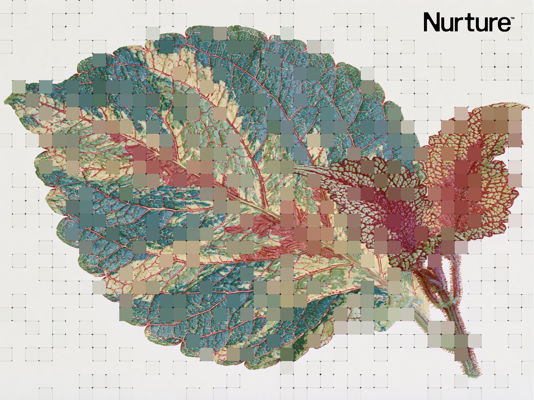 A variegated coleus leaf processed through the generative grid, each sampled cell resolved into the average color found beneath it