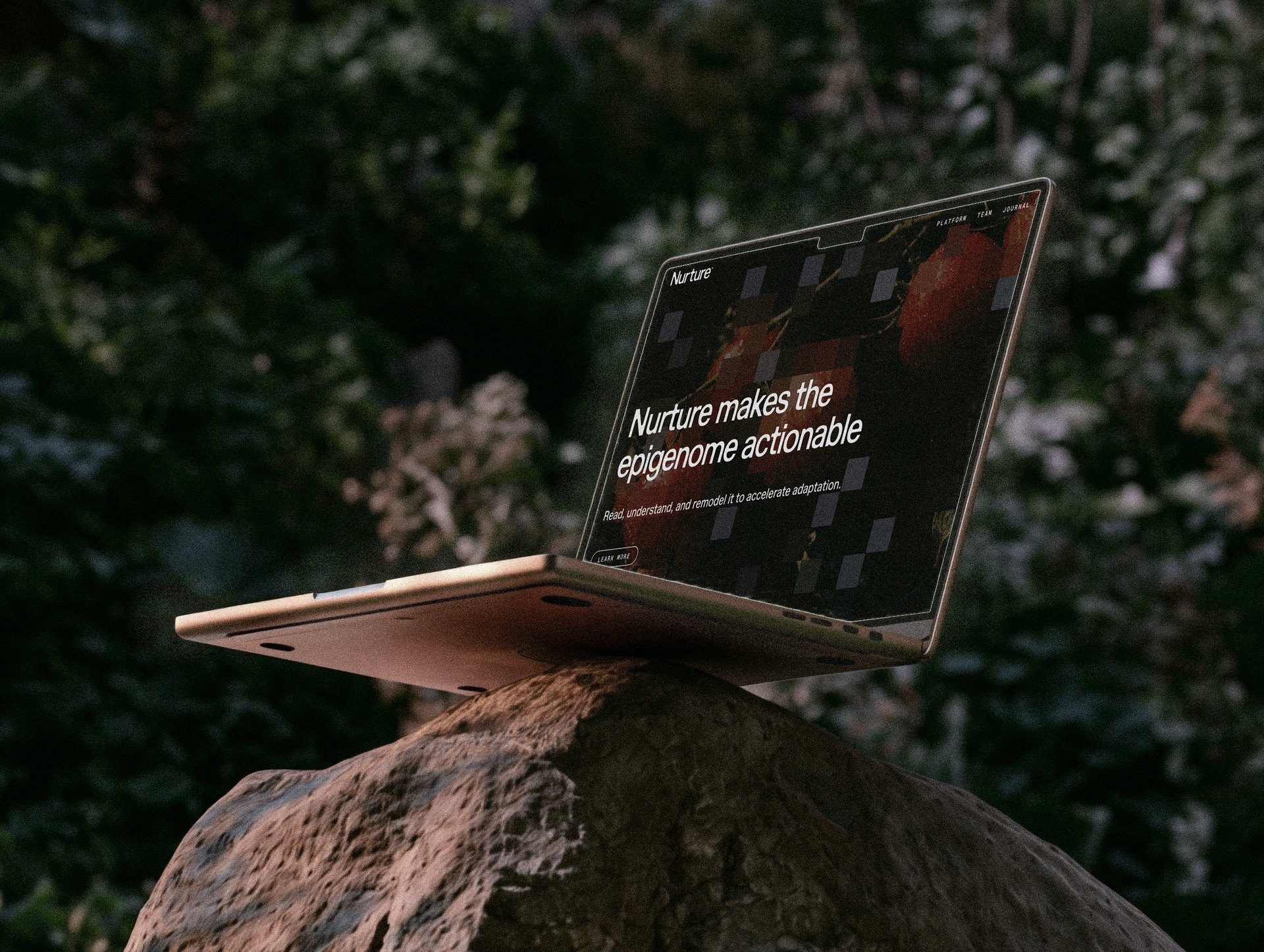 A laptop balanced on a rock in dim woodland, its screen showing the Nurture home page and the line Nurture makes the epigenome actionable